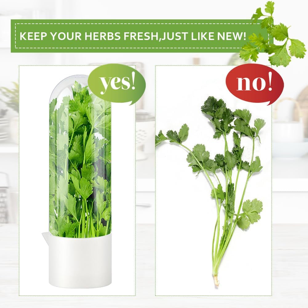 3 Pack Herb Keeper for Refrigerator, Fresh Herb Saver for Cilantro, Parsley