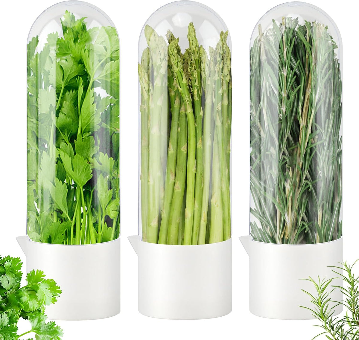 3 Pack Herb Keeper for Refrigerator, Fresh Herb Saver for Cilantro, Parsley