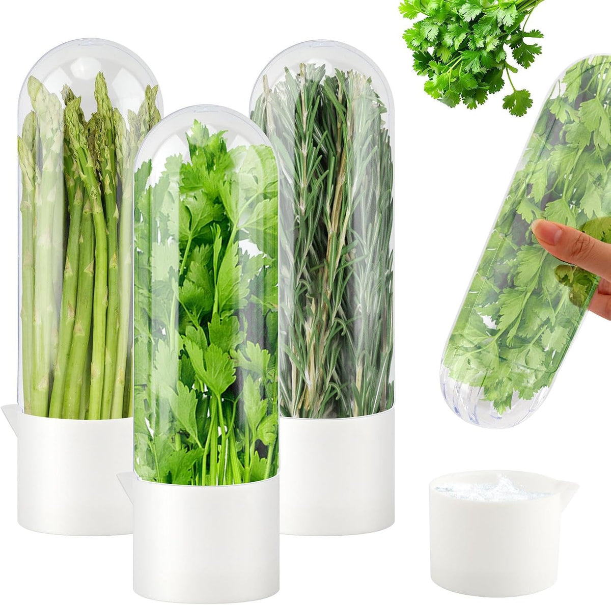 3 Pack Herb Keeper for Refrigerator, Fresh Herb Saver for Cilantro, Parsley