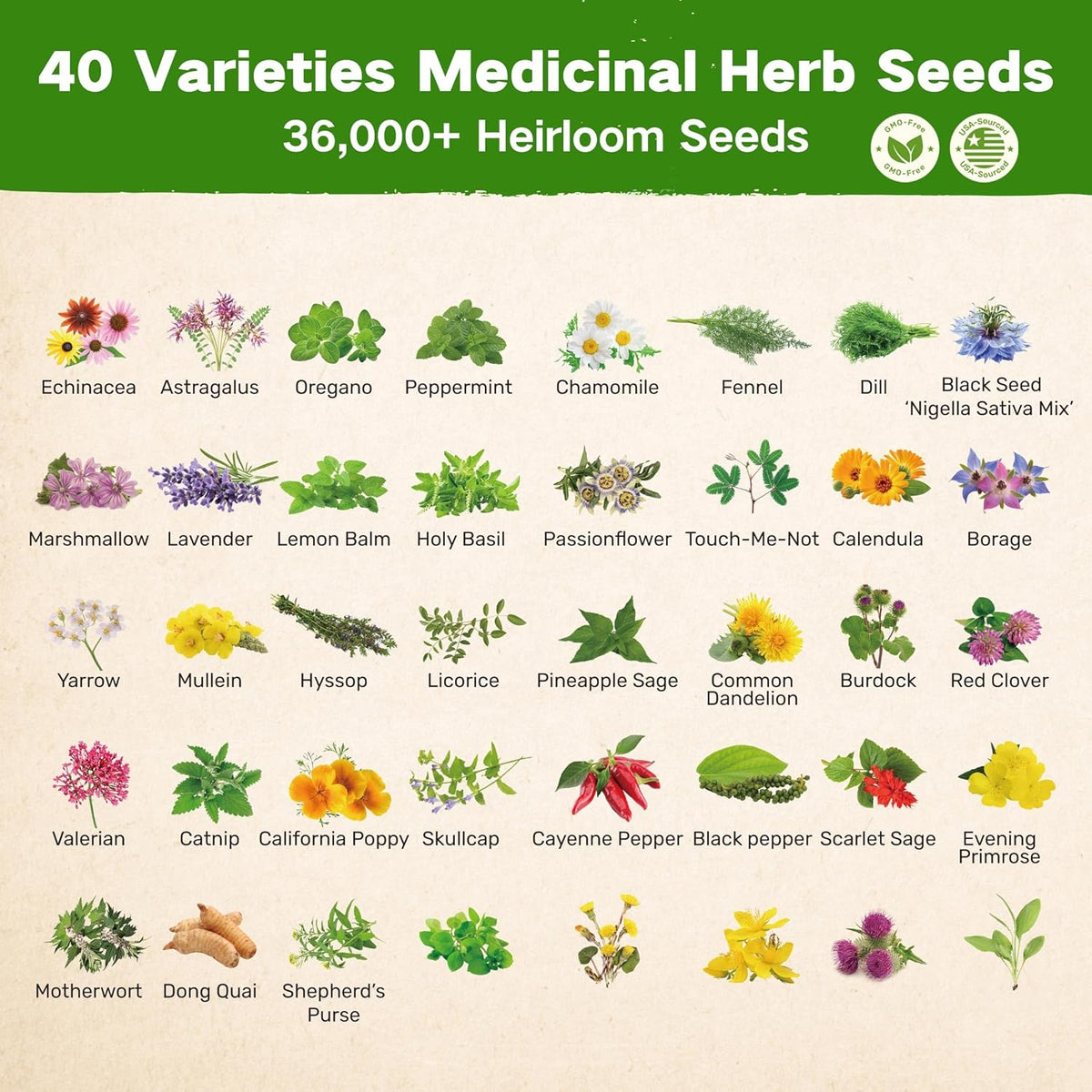 Lush&Dew Ancestral Apothecary Medicinal Tea Herb Seed Chest, Gardening Gift