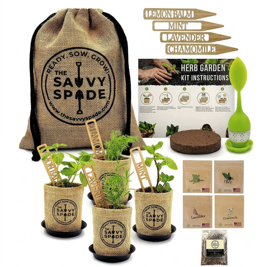 Indoor Herbal Tea Starter Kit Non-GMO Seeds For Fresh Tea