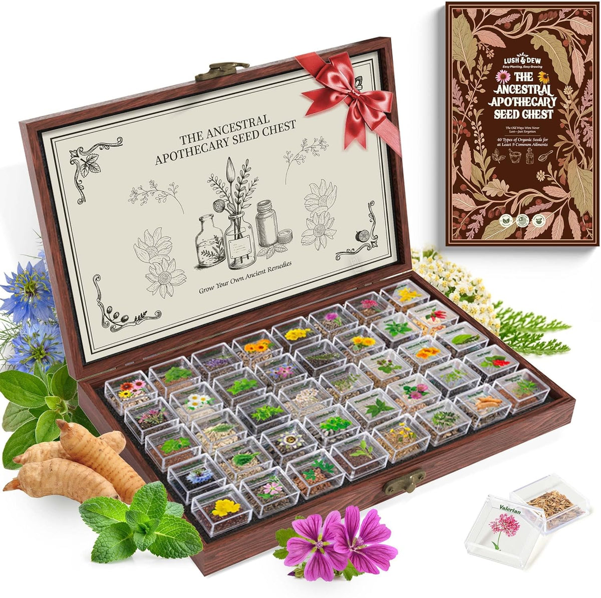 Lush&Dew Ancestral Apothecary Medicinal Tea Herb Seed Chest, Gardening Gift