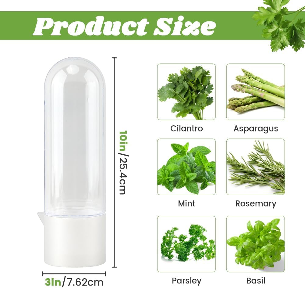 3 Pack Herb Keeper for Refrigerator, Fresh Herb Saver for Cilantro, Parsley